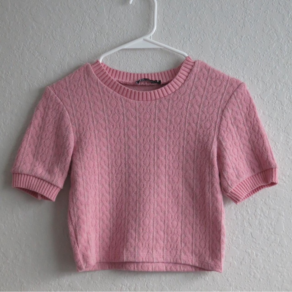 Zara Soft Pink Crew Neck Crop Top